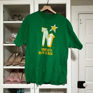 Minnesota north stars